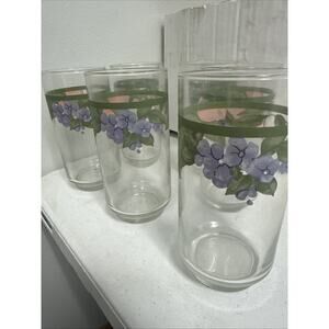 Tumbler Pfaltzgraff GARDEN PARTY Glassware 5 5/8" tall 2 3/4" Diameter Set of 9